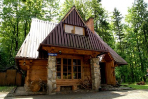  Domek Drewniany Tetmajera Centrum Zakopane  Закопане